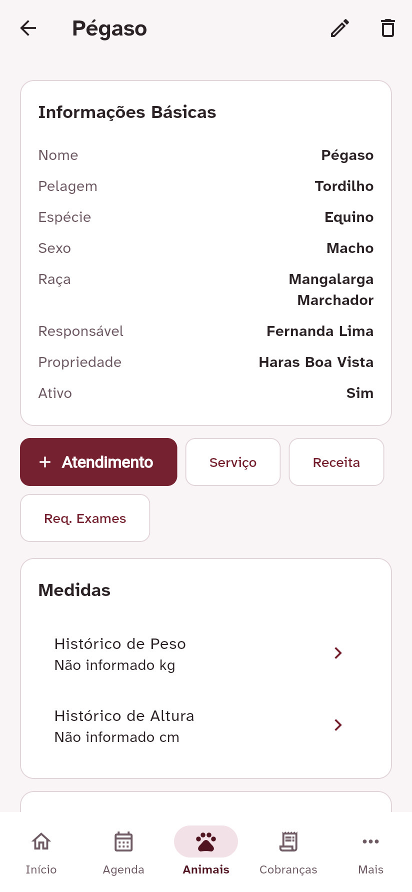 Prontuário do animal Pégaso na IntegrativeVet, com cadastro e histórico